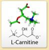 L-carnitn, jeho inok, efekt a vlastnosti